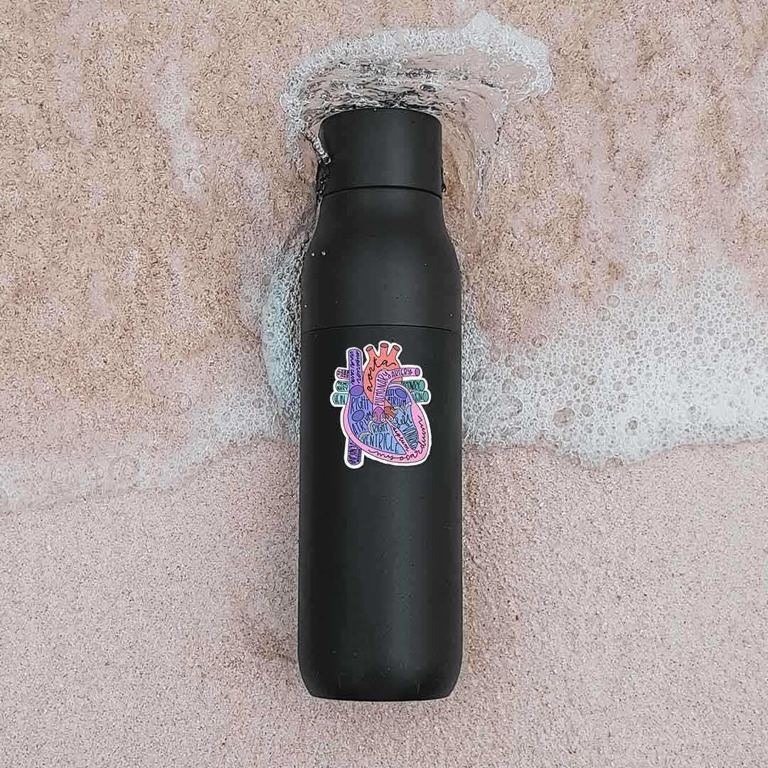 Anatomy Of Heart Sticker - Stickers | STICK IT UP
