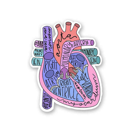 Anatomy Of Heart Sticker - Stickers | STICK IT UP