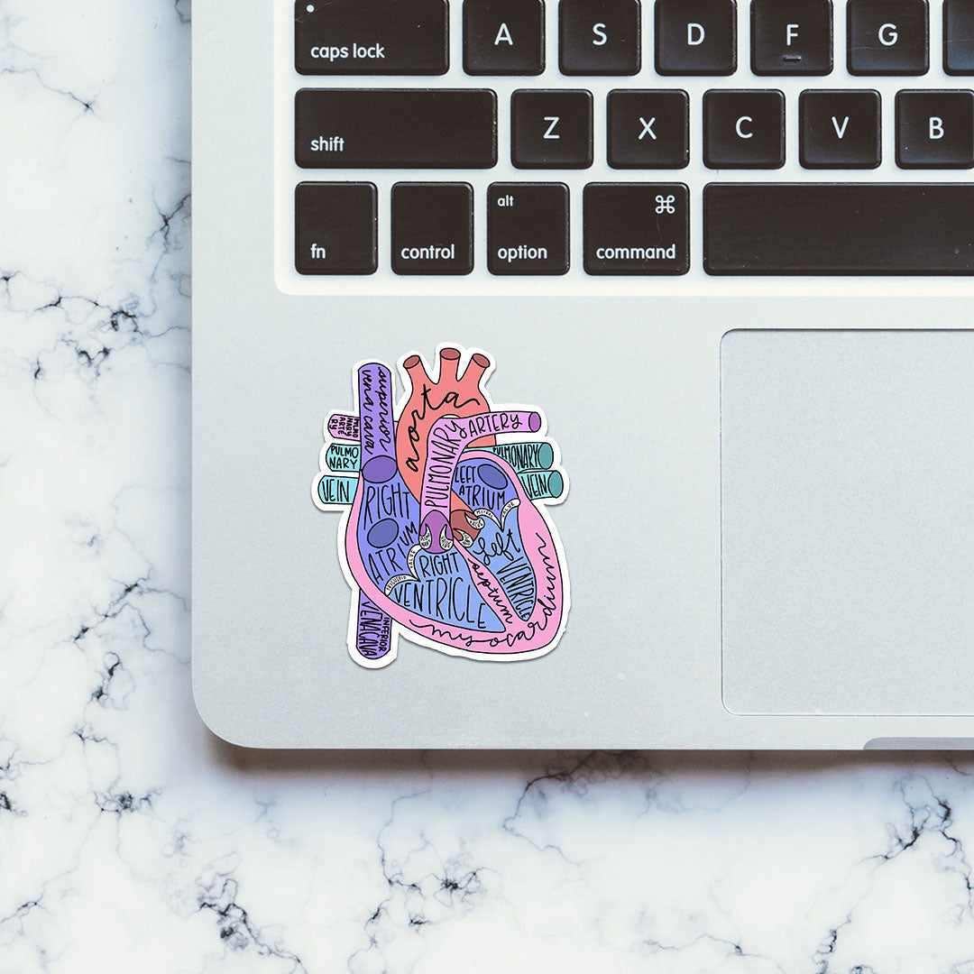 Anatomy Of Heart Sticker - Stickers | STICK IT UP