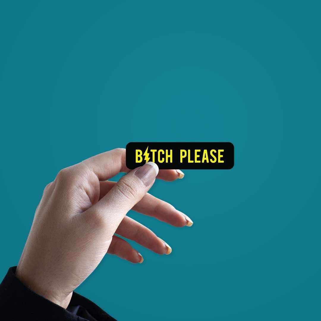 Bitch Please Sticker - Stickers | STICK IT UP
